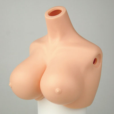 [60AC-FS002]Bust Parts (large) Natural