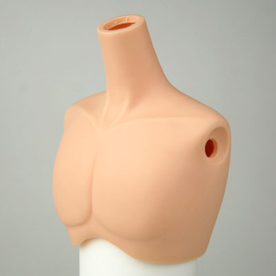 [60AC-FS004]Bust Parts Male