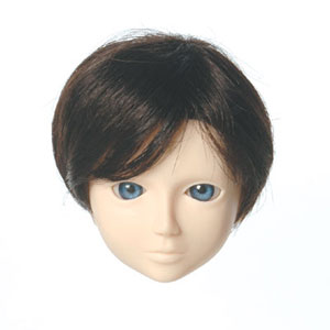 [60WG-L01-02]Wig L Short Dark Brown