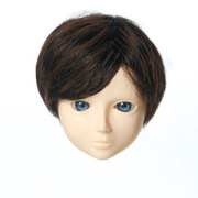 [60WG-L01-02]Wig L Short Mix