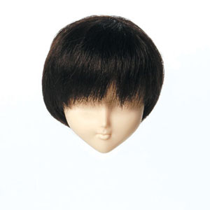 [60WG-S01-02]Wig S Short Dark Brown