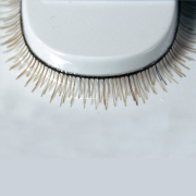 [EL501B]False Eyelash Brown